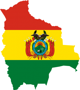Informes Bolivia
