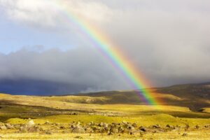 El Pequeño Libro de Transformación de Conflictos
